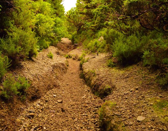 Hiking Lagoinha | 50€/Adult